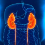 Yoga for Kidney Problems