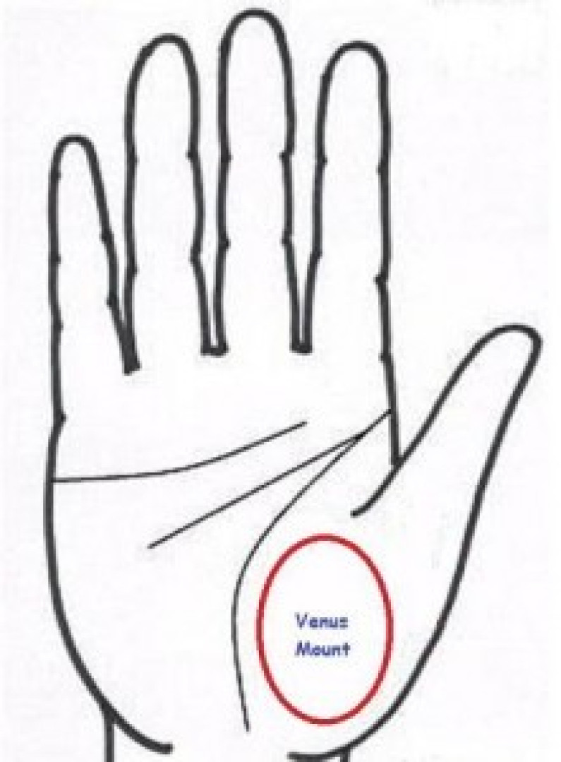 The Mount Of Venus: An Introduction – Part I The Mount Of Venus: An Introduction – Part I
