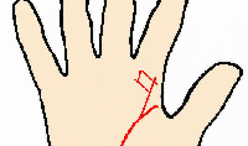 Palmistry Teachers Square Palmistry Teachers Square