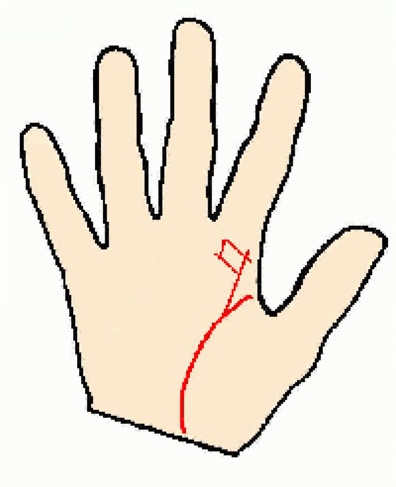 Palmistry Teachers Square Palmistry Teachers Square