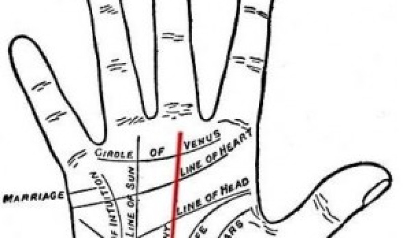 A Brief Idea of Palmistry
