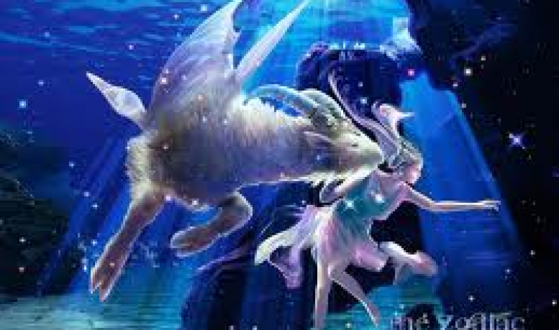 All About Capricorn Sun Sign All About Capricorn Sun Sign