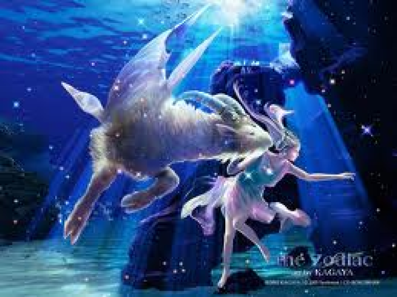 All About Capricorn Sun Sign All About Capricorn Sun Sign