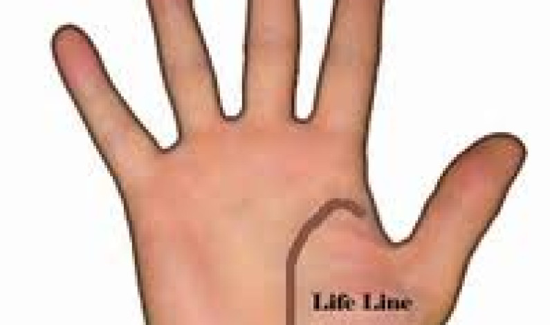 Life Line Reading Life Line Reading