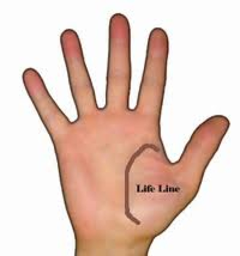 Life Line Reading Life Line Reading