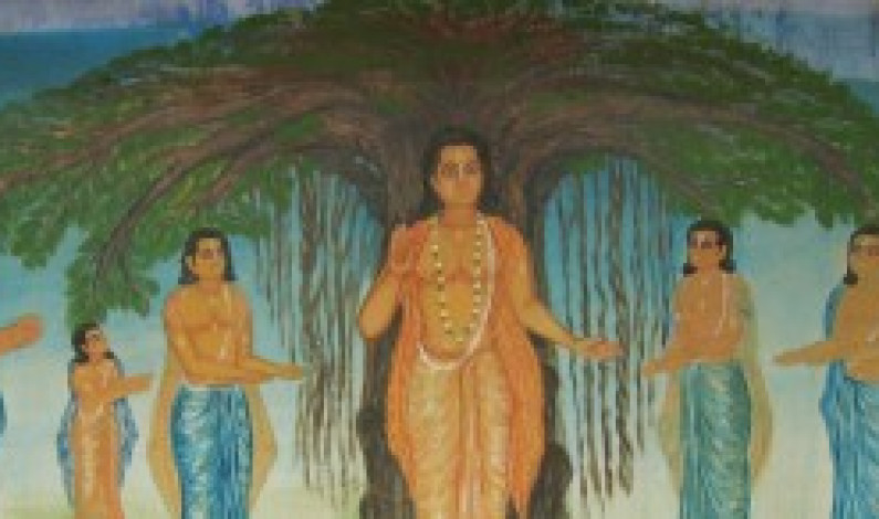 Kalpataru: The Wish Granting Tree Kalpataru: The Wish Granting Tree
