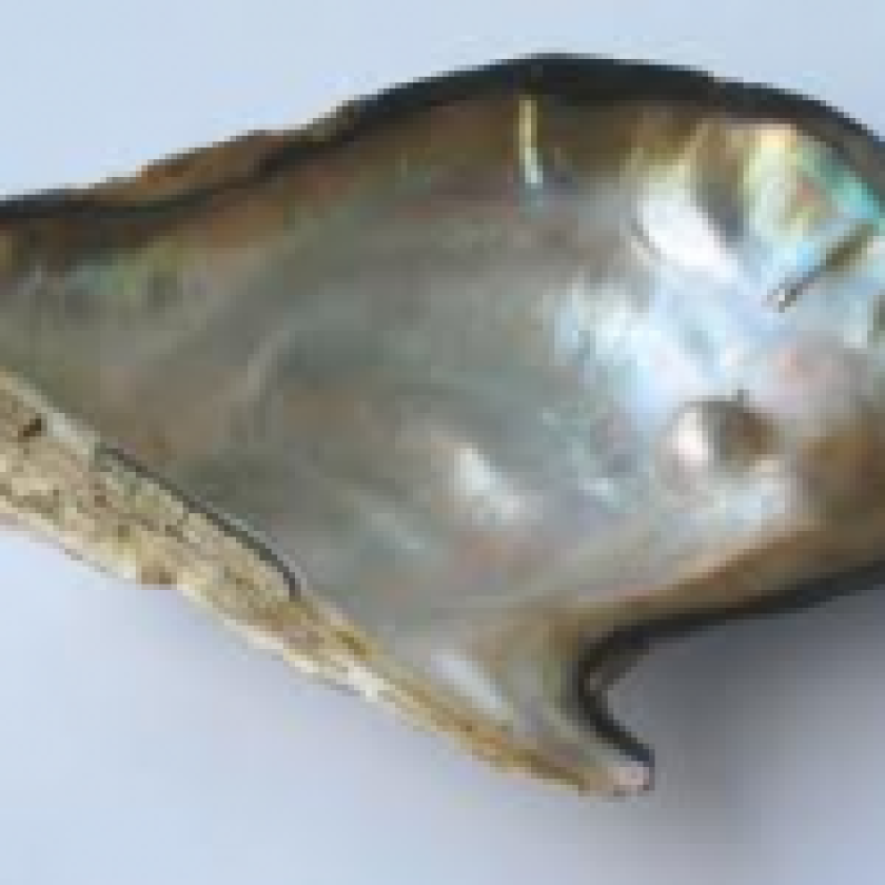 The Role Of Pearl in Astrology The Role Of Pearl in Astrology