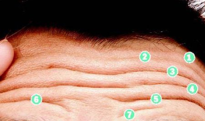 Lines On Forehead – The Line Of Wisdom Lines On Forehead – The Line Of Wisdom
