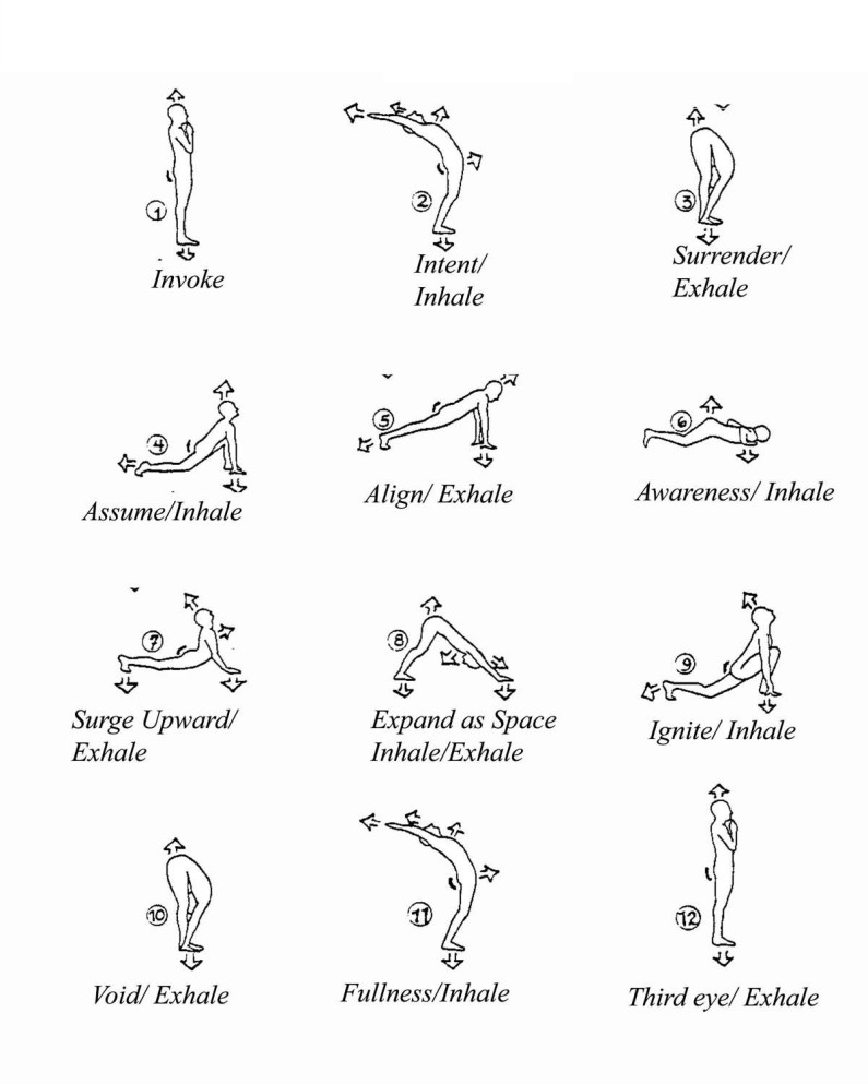 Surya Namaskar For Yoga Beginners