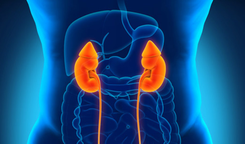 Yoga For Kidney Problems