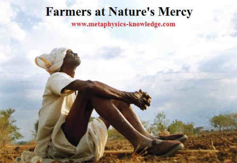 Farmers and Nature: The Eternal Hide & Seek