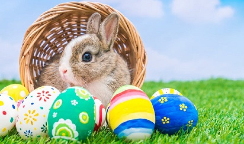 Easter Eggs and Bunnies