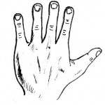 Spatulate Hand