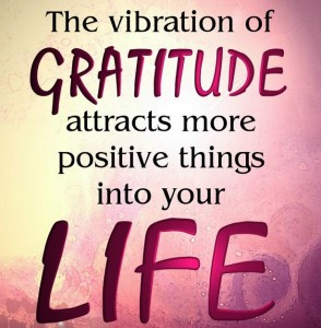 Gratitude in Life