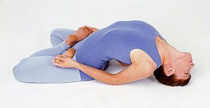 Matsyasana