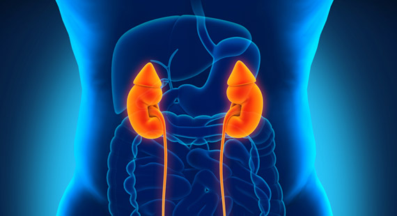 Yoga For Kidney Problems