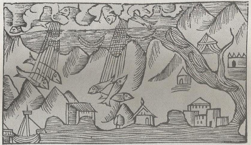 Chapter 8 Image 1