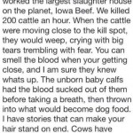Eating Meat?