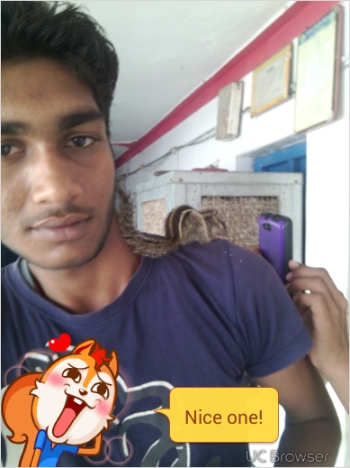TMPDOODLE1437070018361