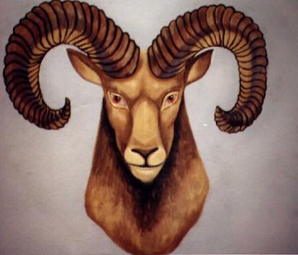 Traits and Characteristics of Aries: Find Out What You Know?