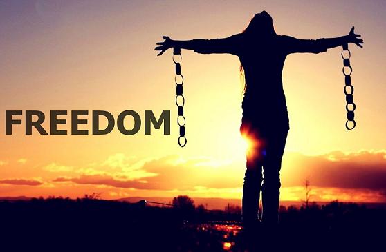 Freedom From MidNight Freedom From MidNight