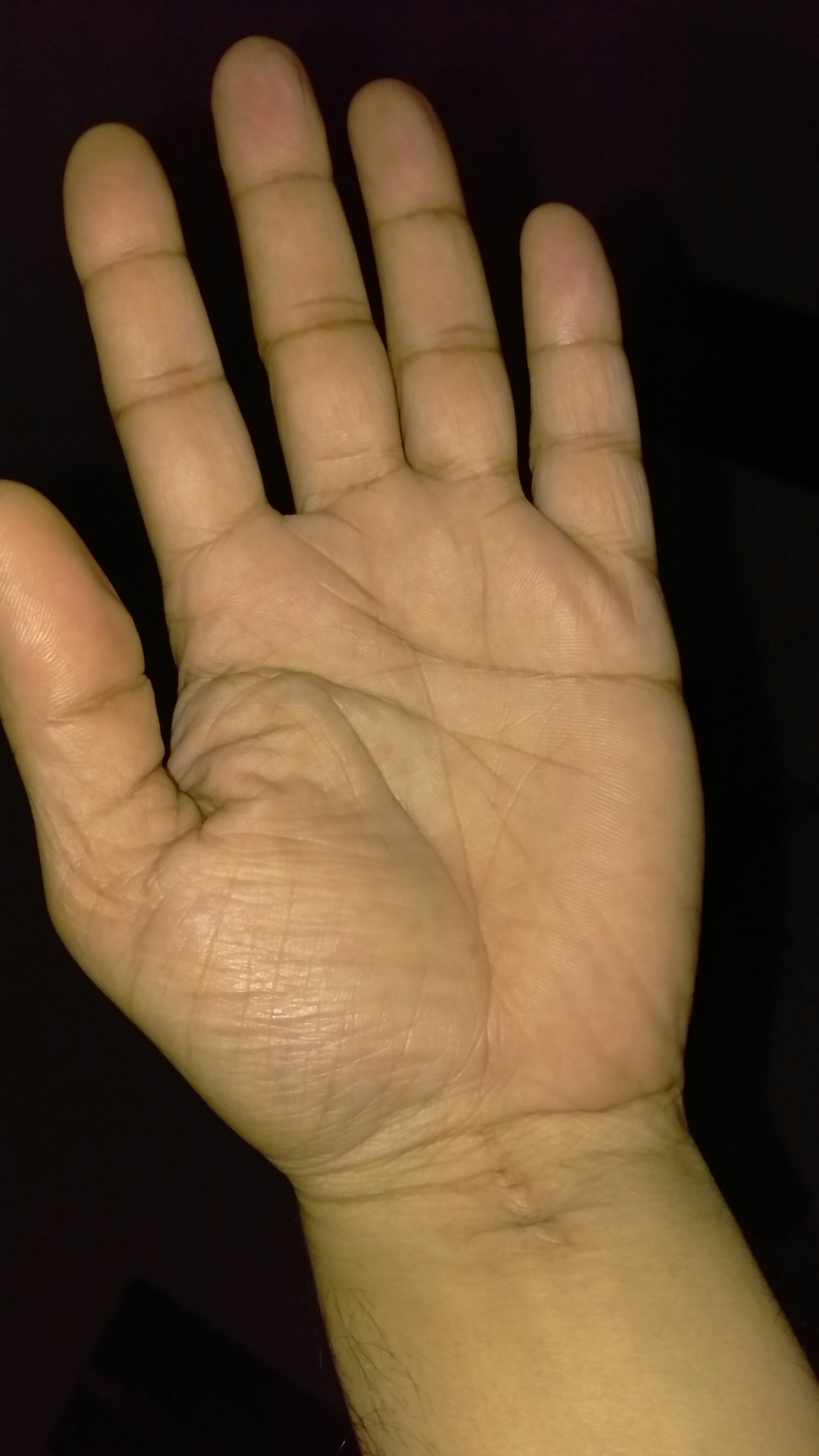 IMAG0206