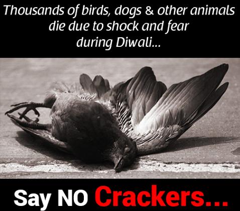 No Crackers This Diwali