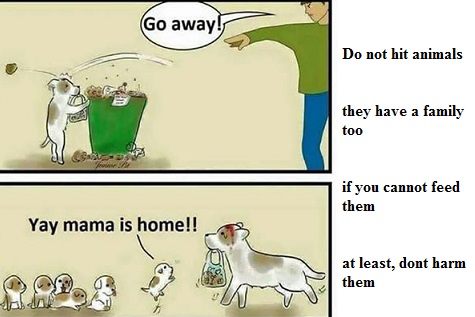 Dont Hit Animals, Dont Harm Them